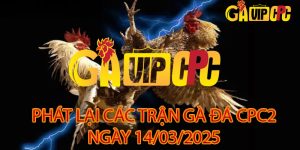 phát lại gà đá cpc2 14/03