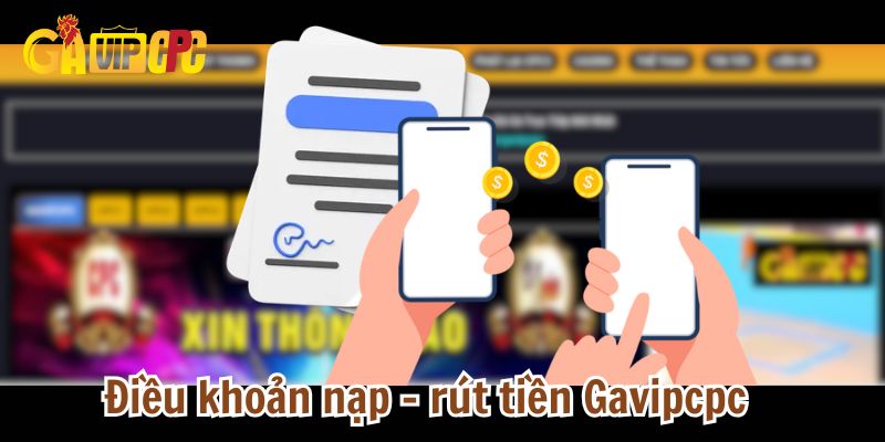 điều khoản và điêu kiện
