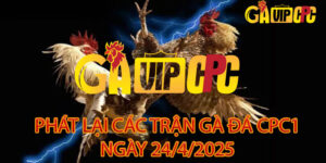 PHÁT LẠI CÁC TRẬN ĐÁ GÀ CPC1 24/4/2025
